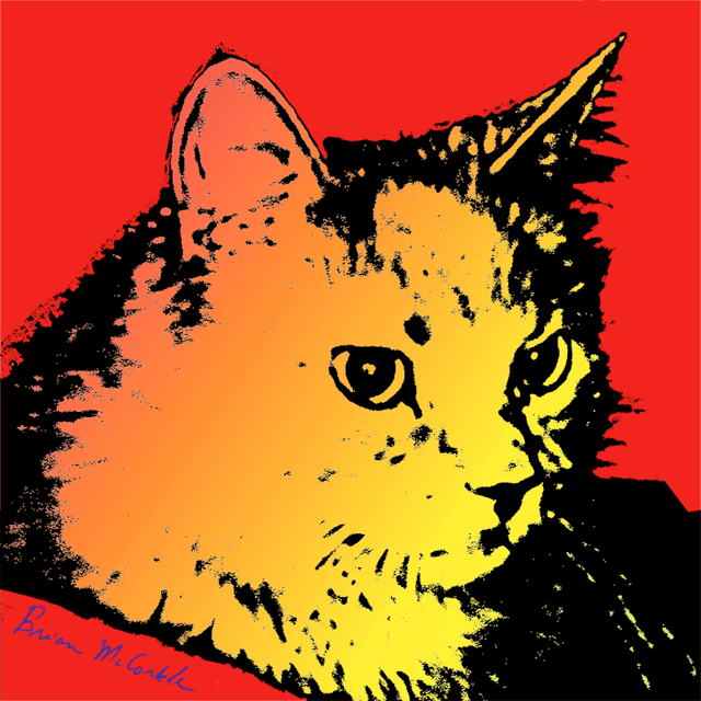 (image for) Fluffy gradient red